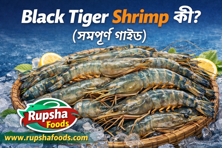 Black Tiger Shrimp কী