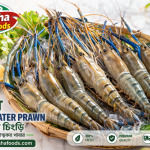 Giant Freshwater Prawn কী?