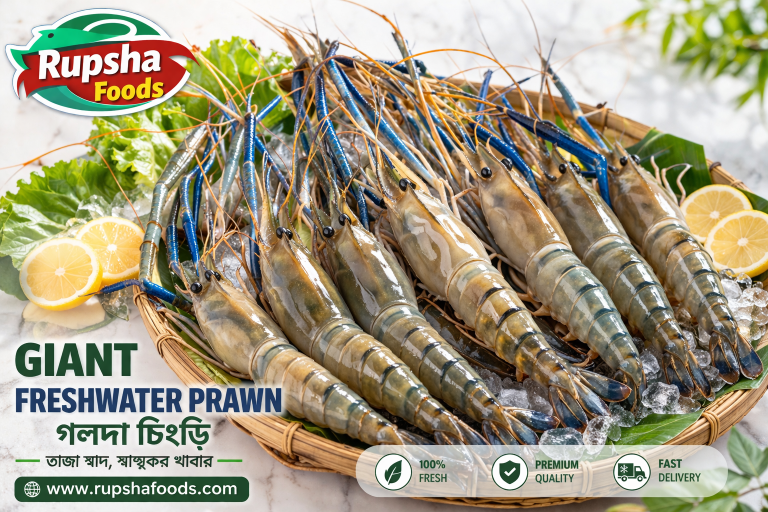 Giant Freshwater Prawn কী?